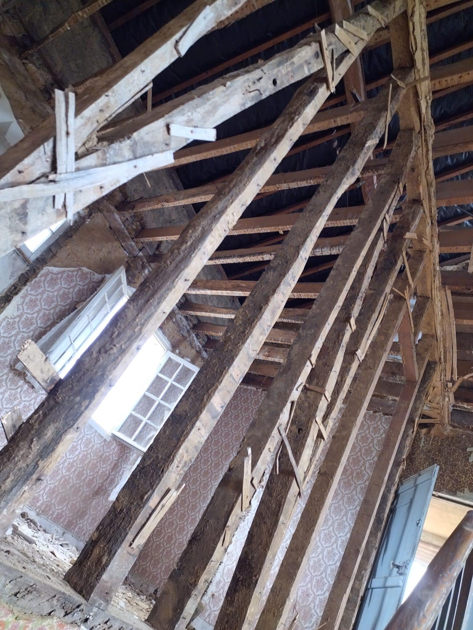 Vue de la charpente en bois d'un bâtiment en cours de rénovation, avec des poutres anciennes et partiellement dénudées, exposant la structure interne du toit.